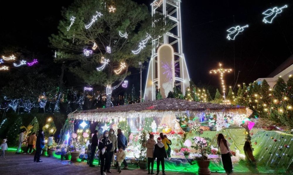 da-lat-in-december-cloud-hunting-sunflowers-festivals